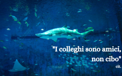 L’importanza della collaborazione tra colleghi